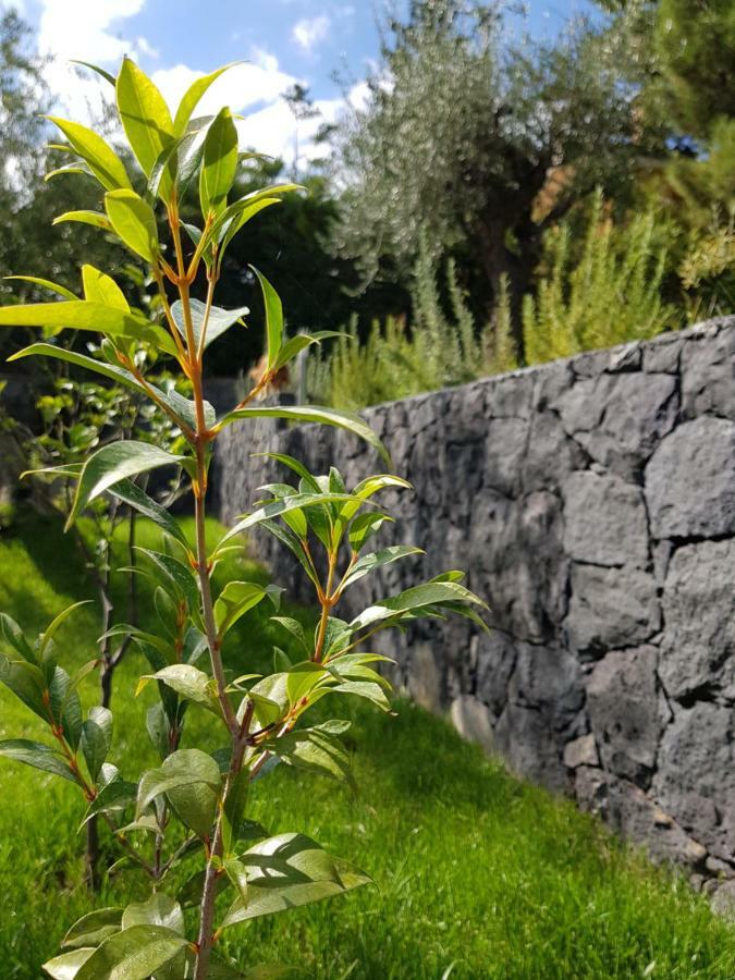Design Villa In Piedimonte Etneo Exterior photo